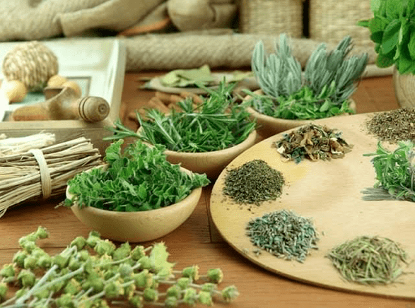 Herbs for treatment impotence